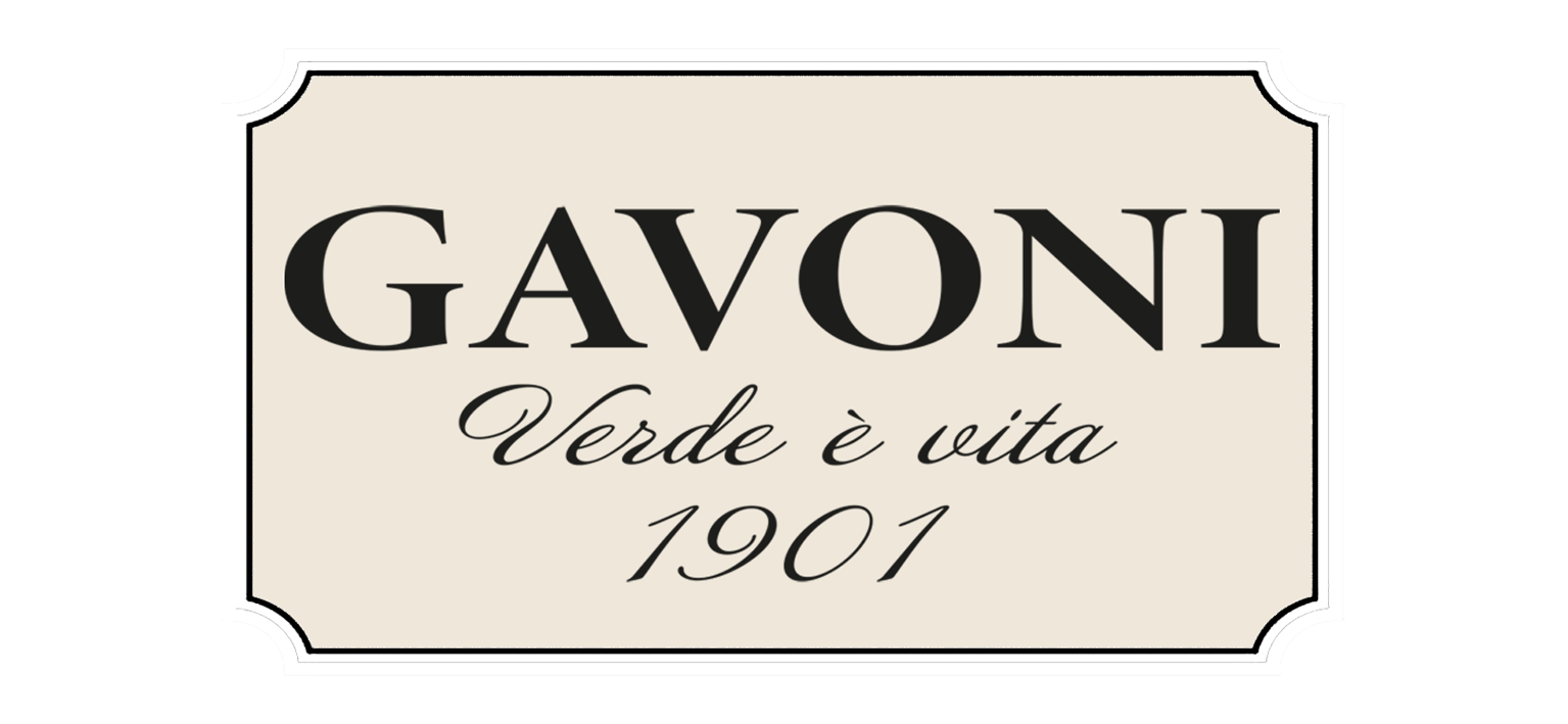GAVONI - 1901